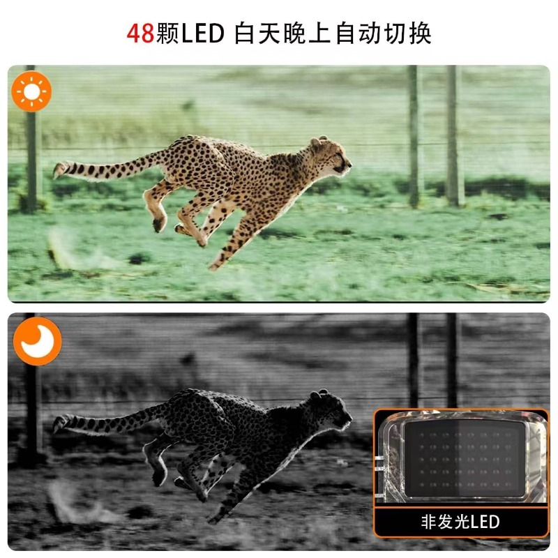 กล้องล่าสัตว์ DL001 ลดราคาพิเศ - Outdoor Sport Field บทวิจารณ์และราคา